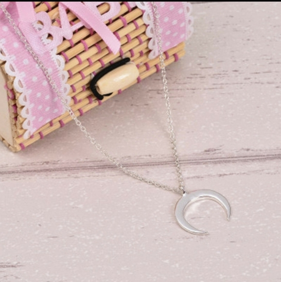 NEW Silver Crest Pendant Necklace - Picture 5 of 7